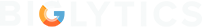 Biglytics logo Biglytics logo
